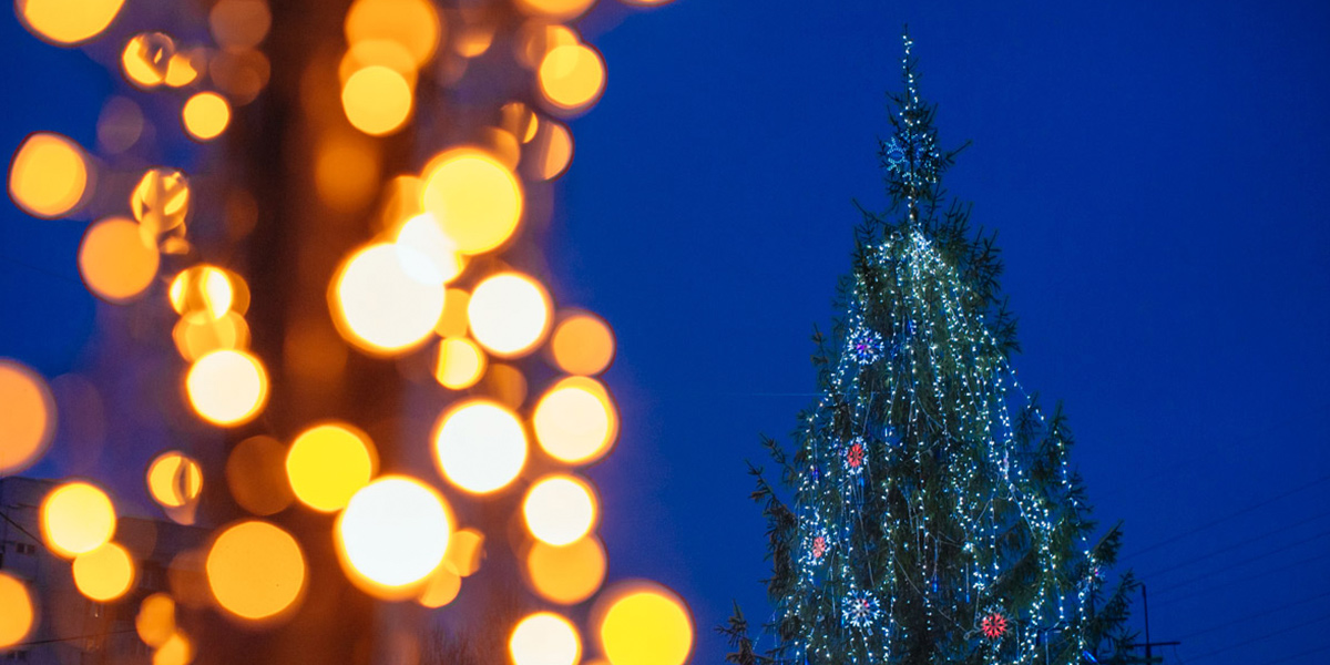 Рояль в кустах создаст новогоднее настроение. Владимир готовят к праздникам