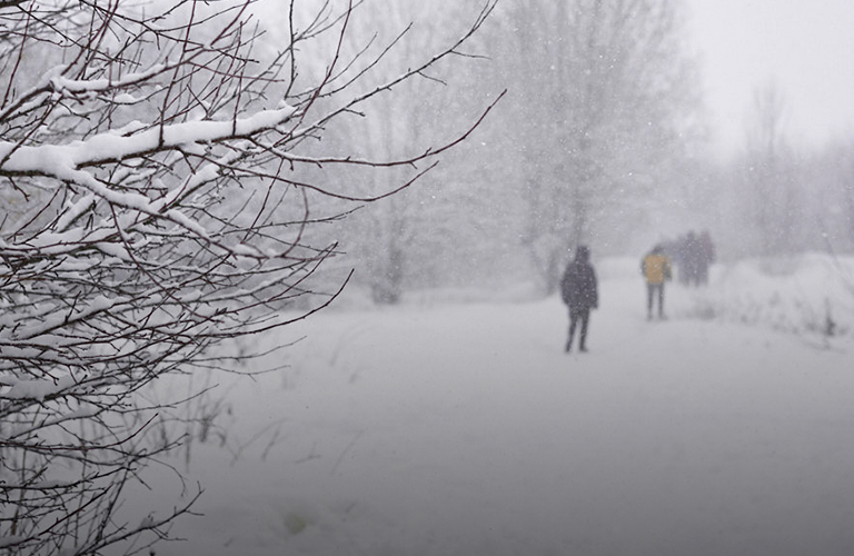 Возвращение снега и морозов! Февраль отомстит за провальный зимний сезон?