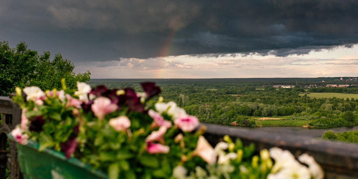 Что вы знаете о парке Пушкина?