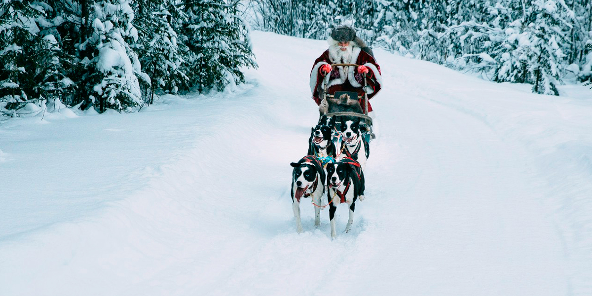Талвиукко и его олени: чем удивят резиденция карельского Деда Мороза и окрестности