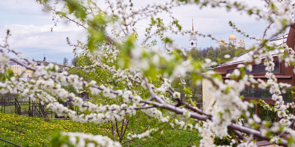 Спешите видеть. Патриарший сад и маршрут по Каменке – одни из самых живописных в стране