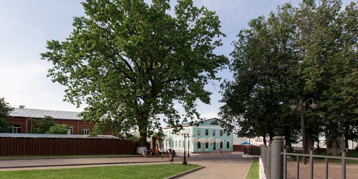 Владимирский дуб и мультик о Черкутино участвуют в федеральных конкурсах