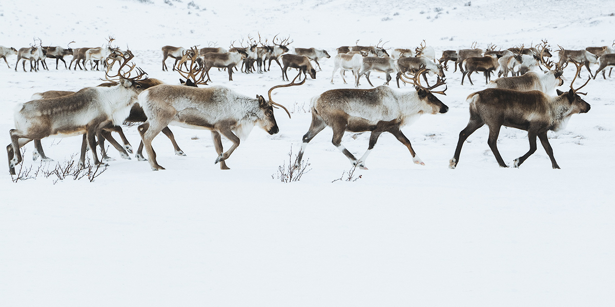 Travel-фотограф Андрей Белавин: «Чукотка — иная планета, а Суздаль — мое место силы»