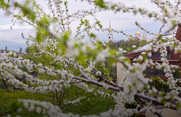 Цветущий оазис древнего города. Чем может похвастаться Патриарший сад накануне 75-летия