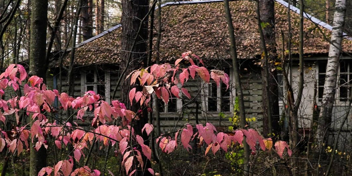 Заброшенная детская дача под Владимиром: сохранившиеся корпуса и рисунок в медпункте