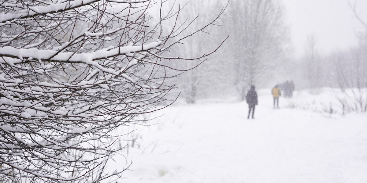 Возвращение снега и морозов! Февраль отомстит за провальный зимний сезон?