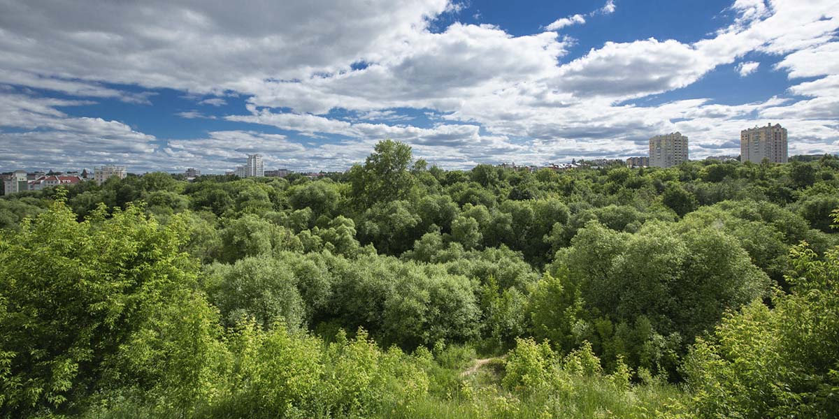 К концепции парка у ДТЮ за 3,9 млн рублей приложат руку горожане 