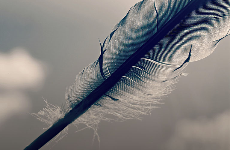 О чем пишут владимирские девушки? Молодые и красивые поэтессы в деле