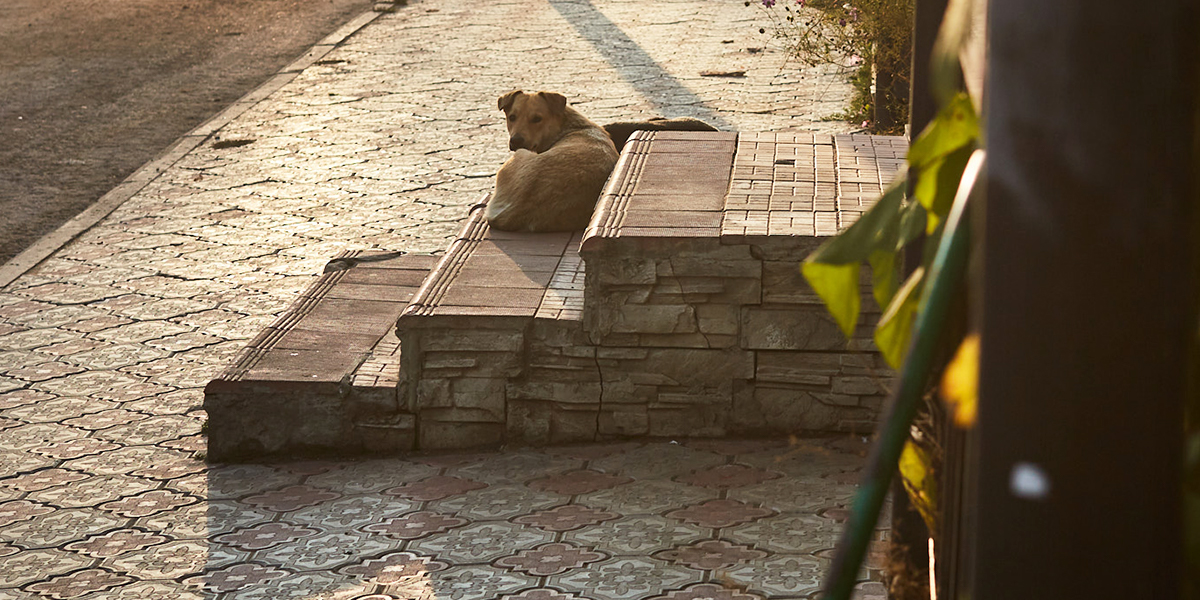 Когда во Владимирской области наступит климатическое лето?