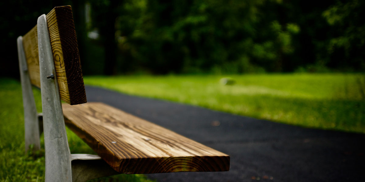 Лавочки раздора. Горожане сами облагородят парк у ДТЮ