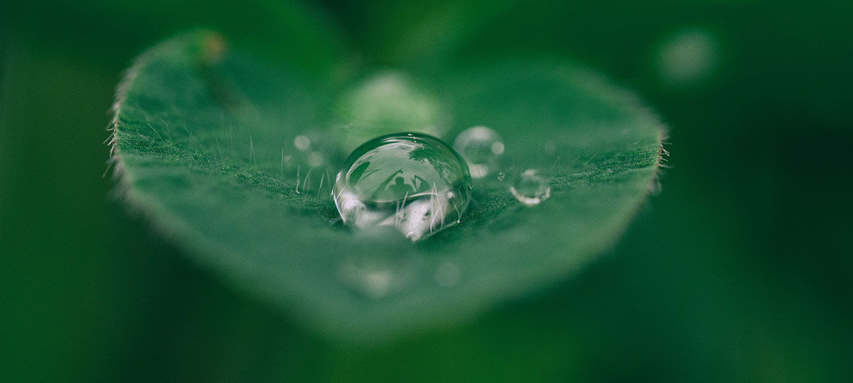 Обзор чудодейственных источников Владимирской области