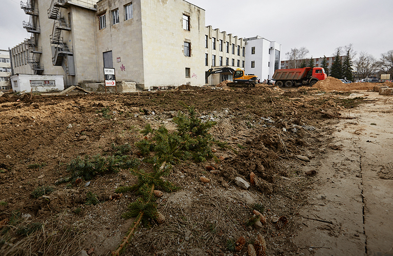 Были елки, остались иголки. Три здоровых дерева возле Art Hall, вероятно, срубили ради парковки