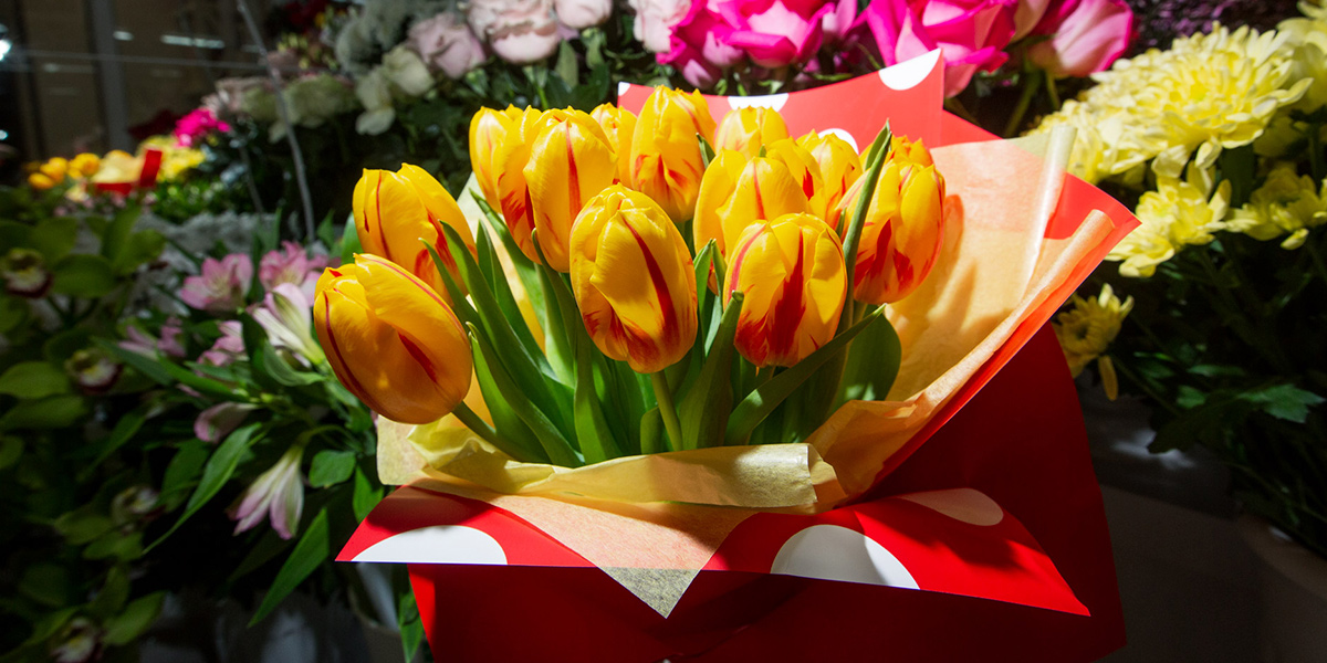 Новый цветочный в спальном районе: экзотика против проверенной классики