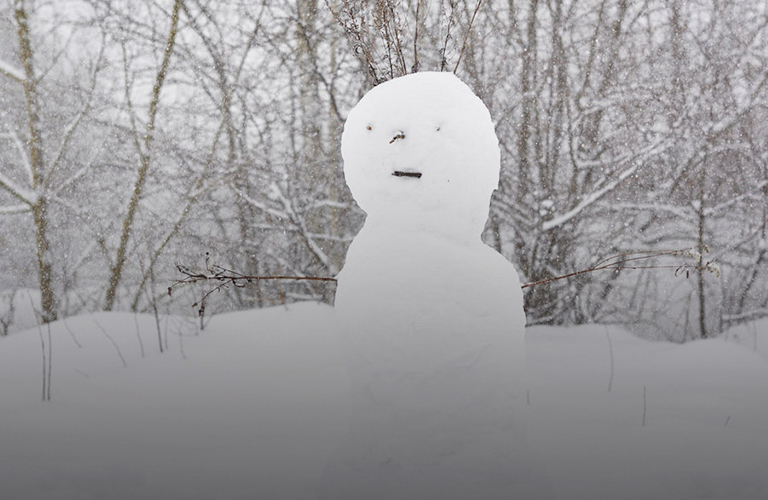 Не классический январь. Синоптики предрекают в регионе дикий погодный микс