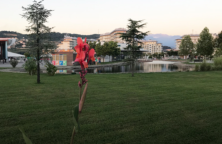 Отдых на юге России начал значительно дешеветь