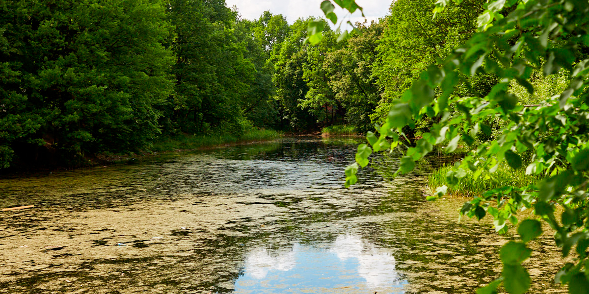 Жажда водоемов: что особенно хотят изменить владимирцы в облике города?