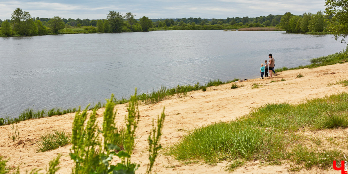 С глэмпингом и пляжами! На берегу озера Запольское обустроят новую зону для отдыха