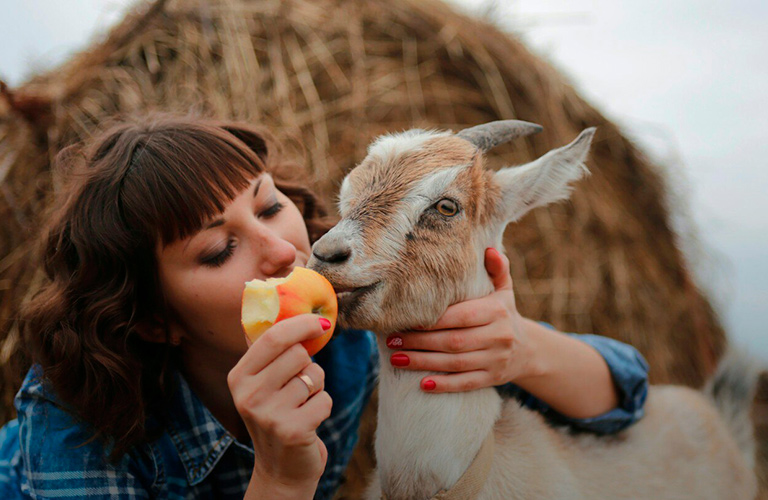 Уже 5 лет бездомным животным во Владимире помогают с помощью фотосессий