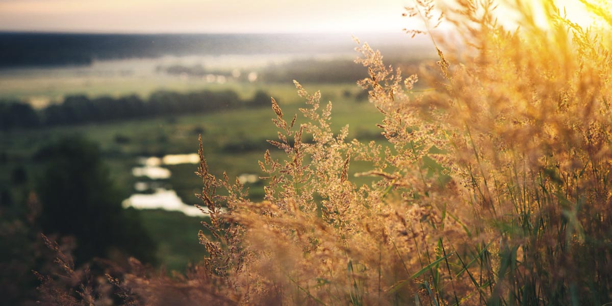 Чем порадует первая летняя неделя и когда откроется купальный сезон?