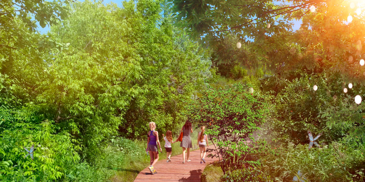 Парковочный мир победил. Финальная версия концепции парка у ДТЮ