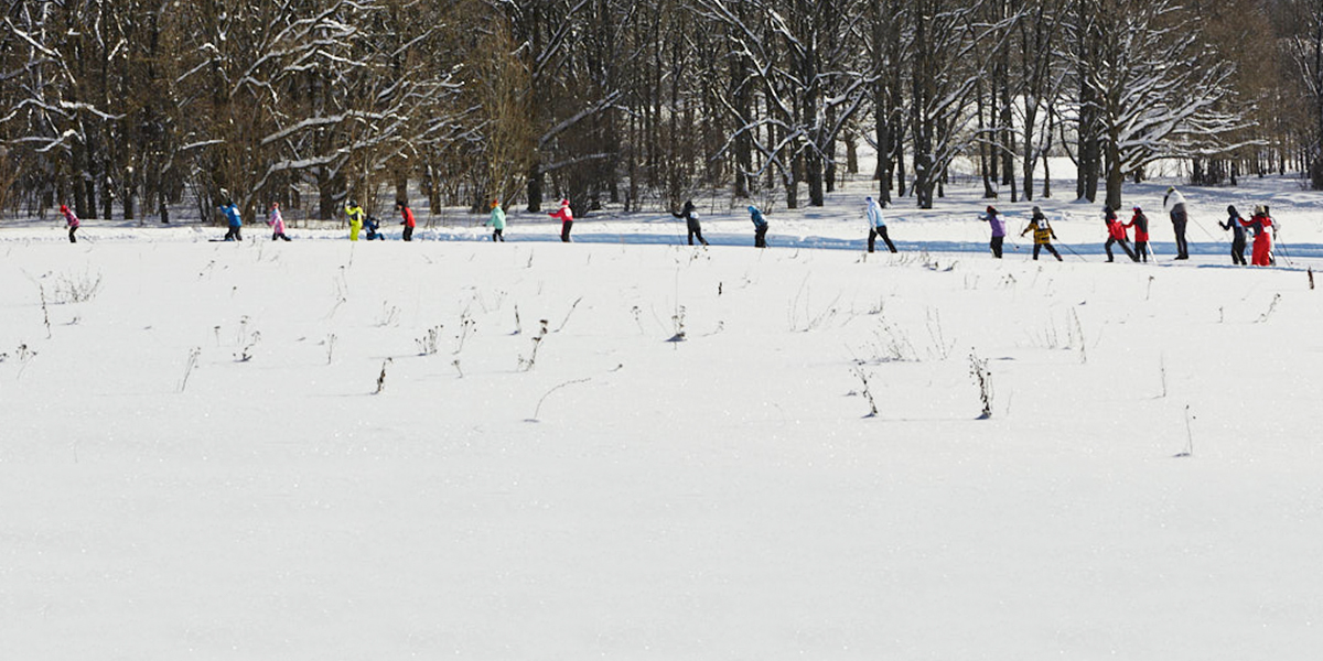 В парке «Дружба» появится новый спортивный кластер с круглогодичной трассой и стадионом