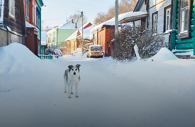 Район люмпенов и маргиналов: тёмное прошлое Рабочей улицы