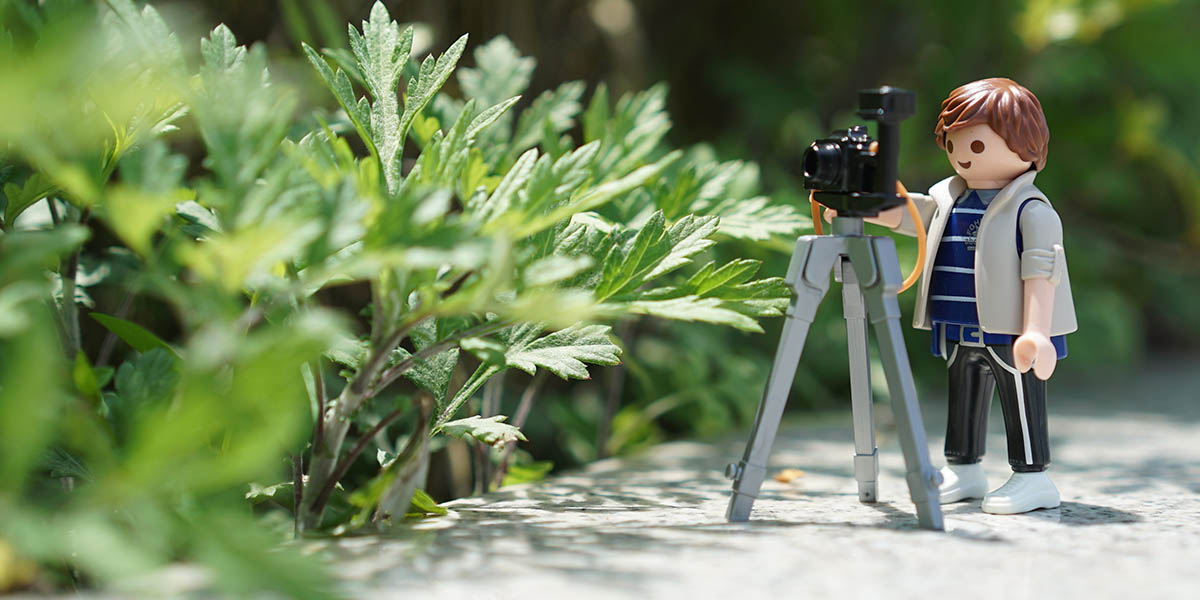 Владимирцев приглашают на съемки программы «Звездомания»