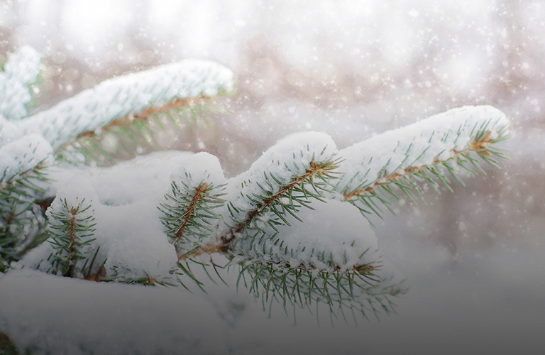 На город нацелились снежный циклон и радиационное охлаждение