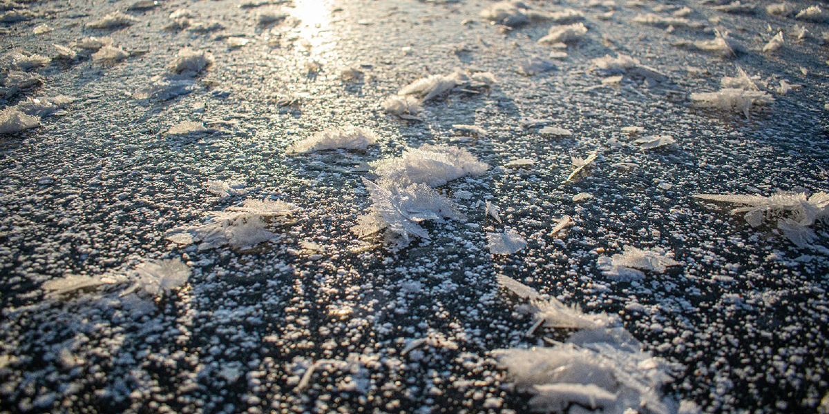 Волшебная картина. Почему на водоёмах области распустились «ледяные цветы»?