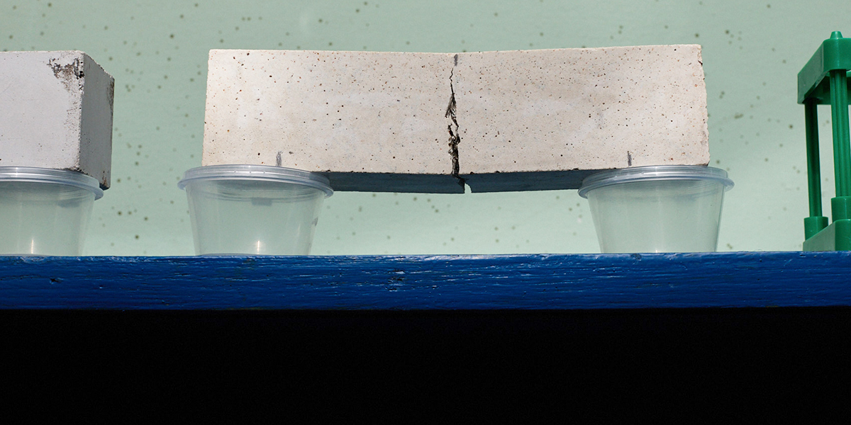 Будущее уже здесь: во Владимире создали «живой» бетон, способный самостоятельно «залечивать» трещины