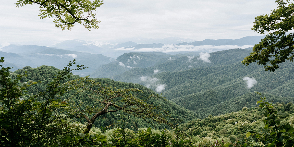 Путешествуем со скидками! Стартует новый этап туристического кешбэка