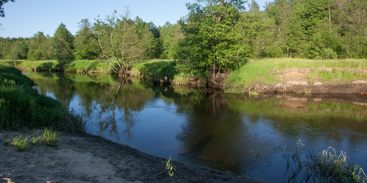 Пляжный сезон? А вот и нет. Владимирцам до сих пор нельзя купаться