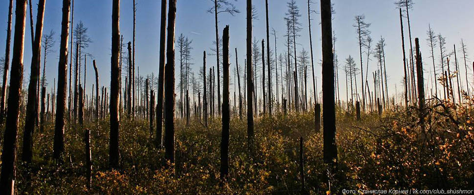 Урочище Шушмор: Загадка каменной полусферы