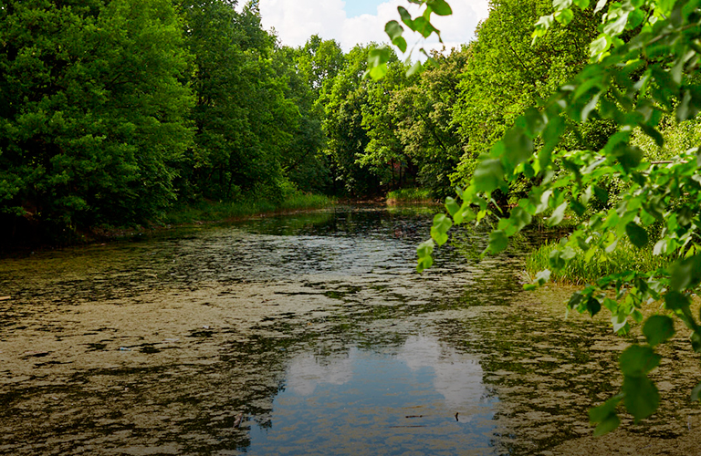 Жажда водоемов: что особенно хотят изменить владимирцы в облике города?