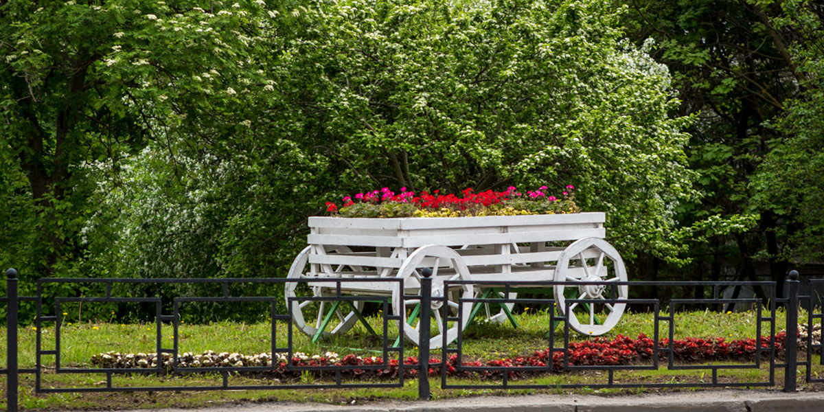 Весеннее преображение: городские клумбы украшают цветами