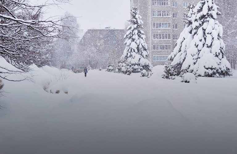 Движение на дорогах остановилось, а детям разрешили не ходить в школу. Последствия циклона «Ольга»