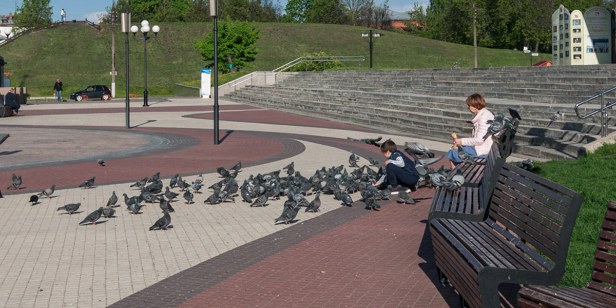 Где, как и во что играла владимирская ребятня больше 100 лет назад