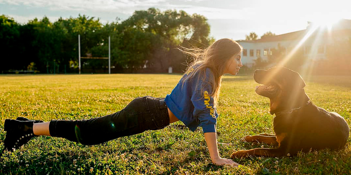 Ротвейлер Гаврюша, хаски Грей и другие бездомные животные, спасенные владимирцами