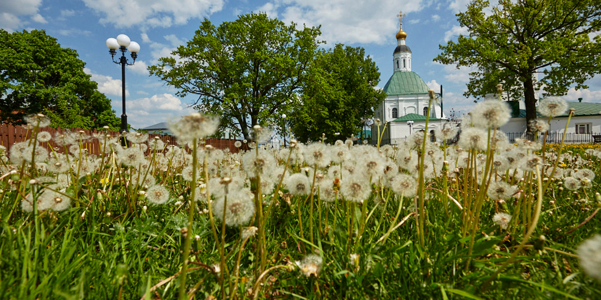 Станет ли пылкий финиш мая во Владимирской области гарантией аномально жаркого лета?
