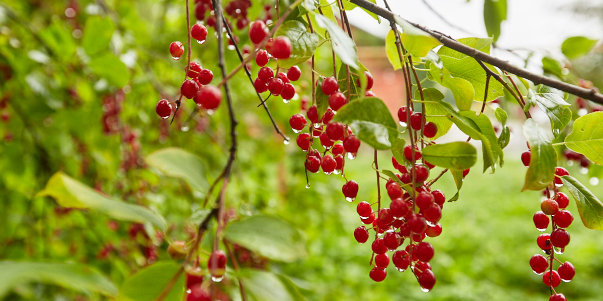 Время для книг и какао. Август в 33-м регионе на время включит осенний режим