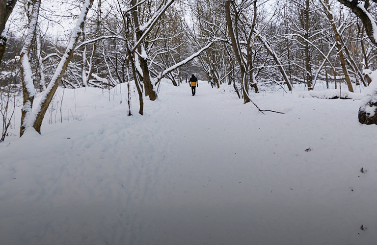 Благоустройство старых садов на улице Мира начнут со строительства дороги