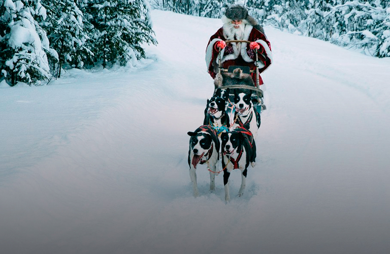 Талвиукко и его олени: чем удивят резиденция карельского Деда Мороза и окрестности