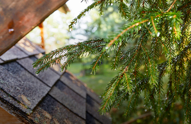 Майские выходные в зоне риска? Какая погода ждет владимирцев в праздничные дни и после них