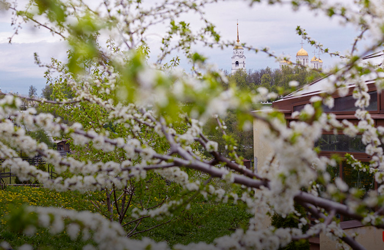Спешите видеть. Патриарший сад и маршрут по Каменке – одни из самых живописных в стране