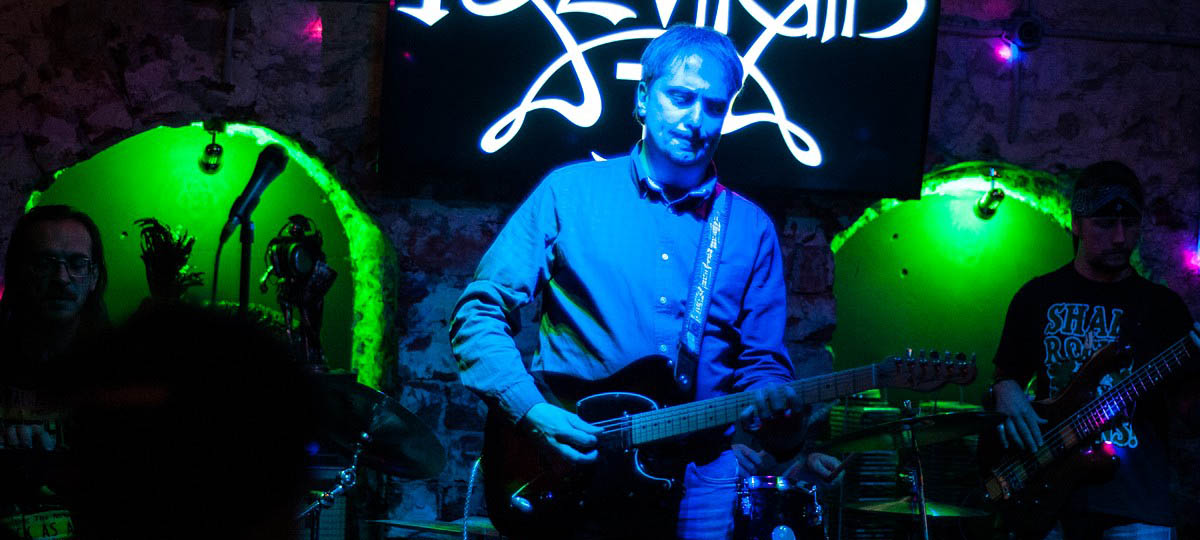 Возвращение блудного бабуина во Владимир