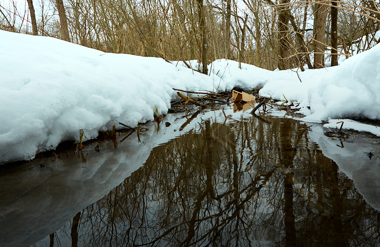 Зима сошла с ума? Сугробы смоет дождем, а дороги покроются льдом