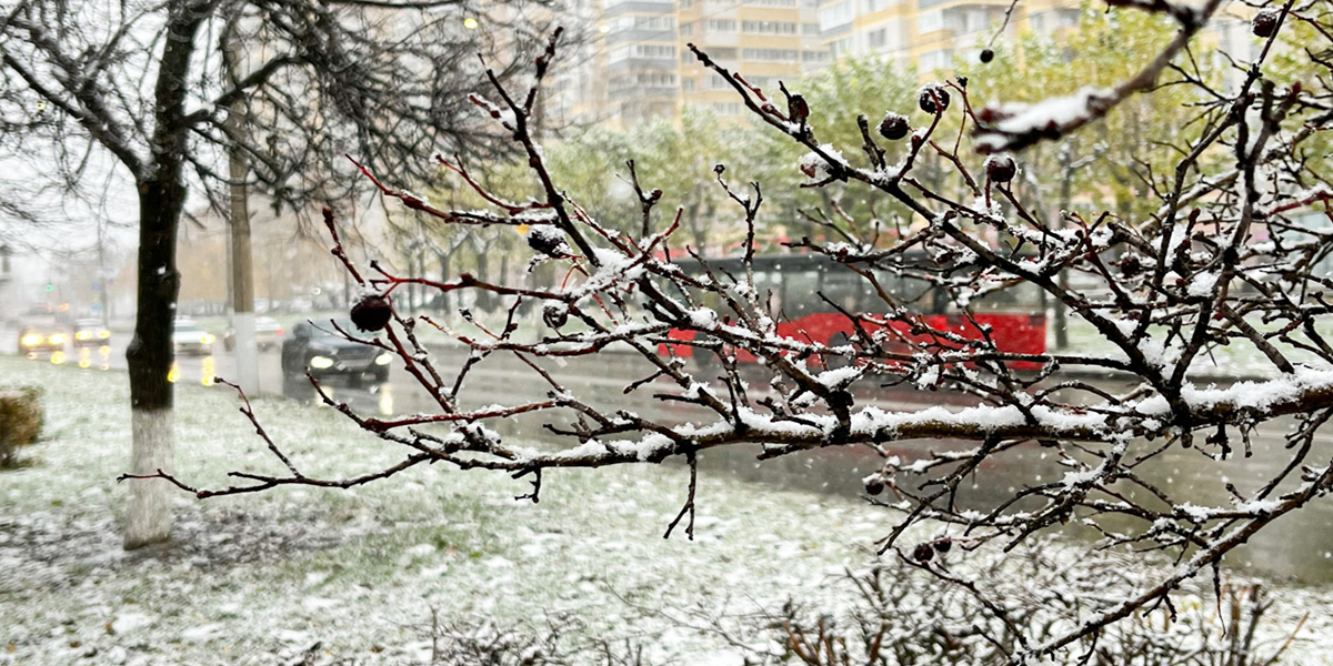 Зима ближе, чем кажется! Погодные сценарии ноября в 33-м регионе