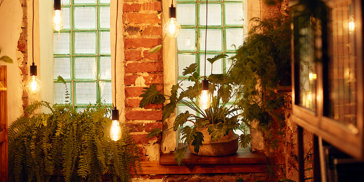 Эстетика растений и предметов декора с ретросклада: новое зеленое пространство на территории ТЭЦ-1