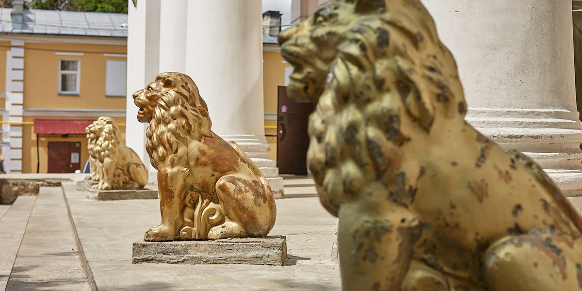 В золоте, на щите и с виолончелью: отправляемся на поиски владимирских львов