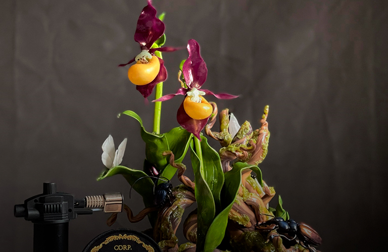 «Венерин башмачок» из карамели владимирской художницы победил в престижном конкурсе для кондитеров-декораторов